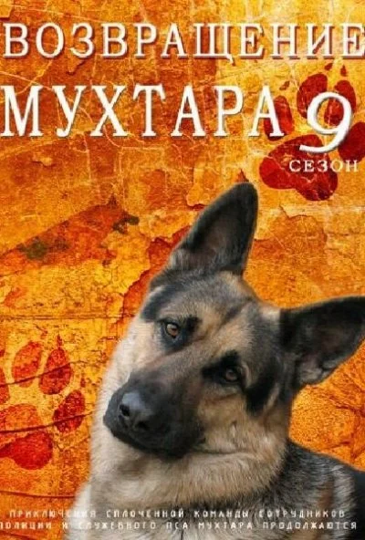 Возвращение Мухтара 9 (2013) онлайн бесплатно