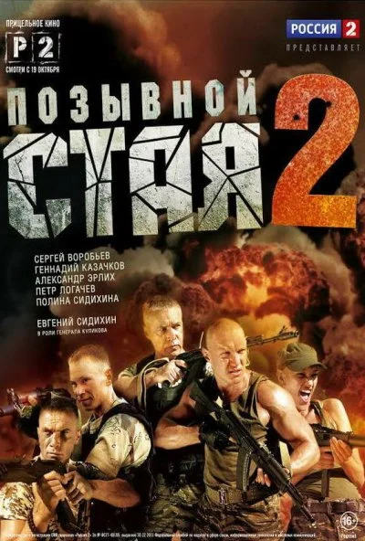 Позывной «Стая» 2 (2014) онлайн бесплатно